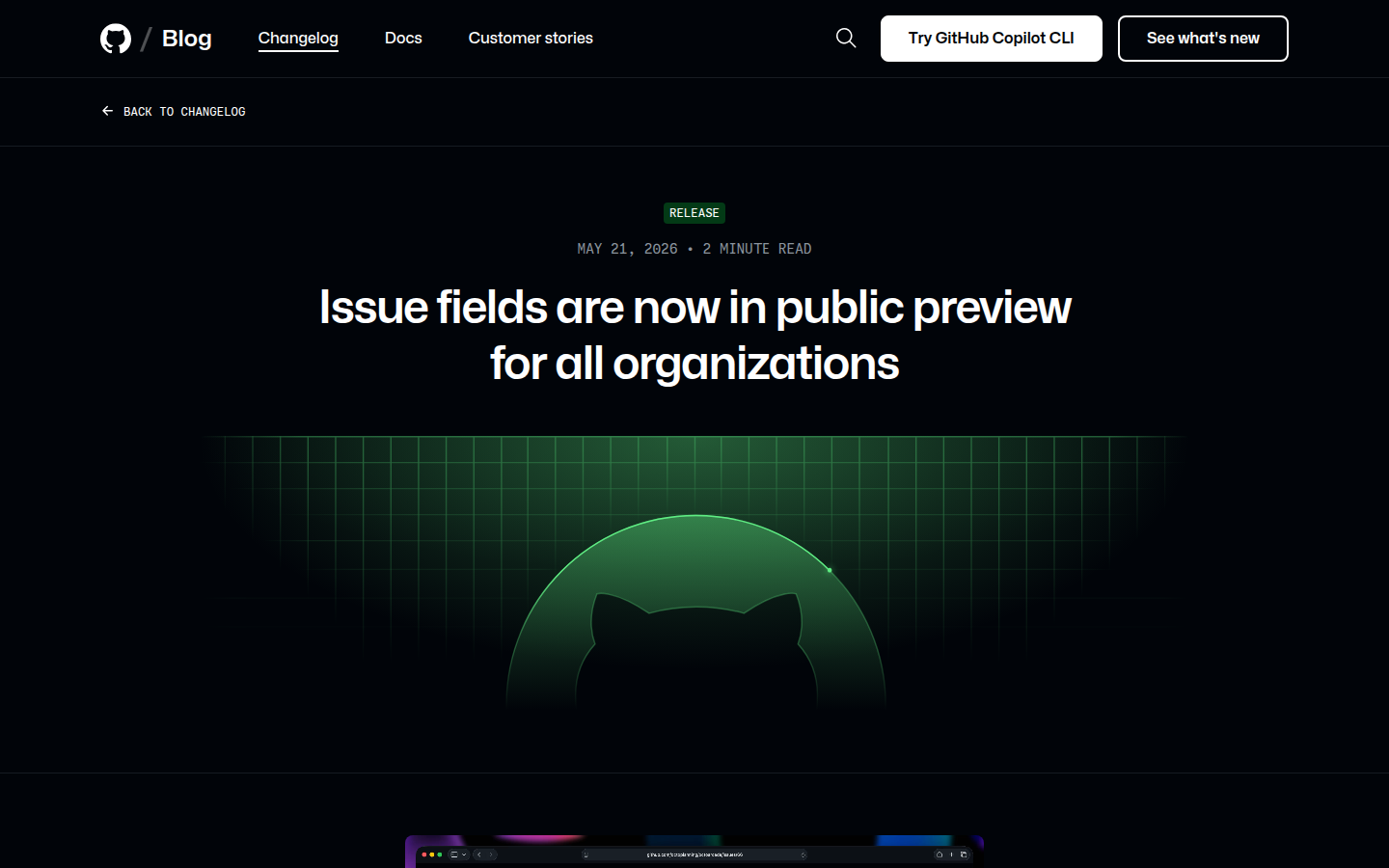 GitHub Issue fields 页面截图