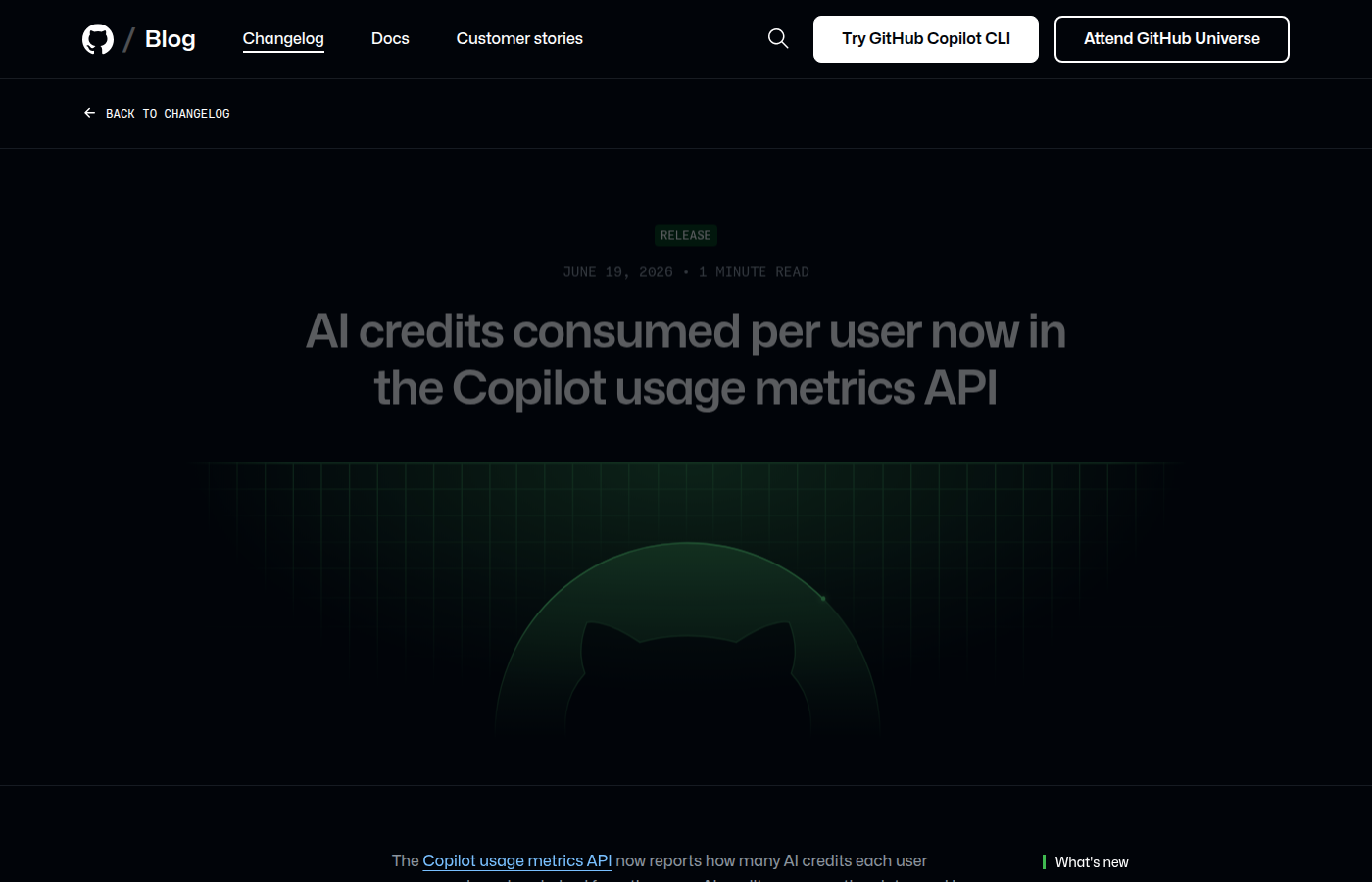 Copilot usage metrics API 页面截图